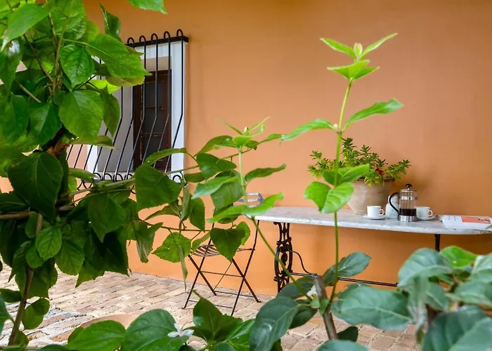Tatil Evi Dafni's Stable