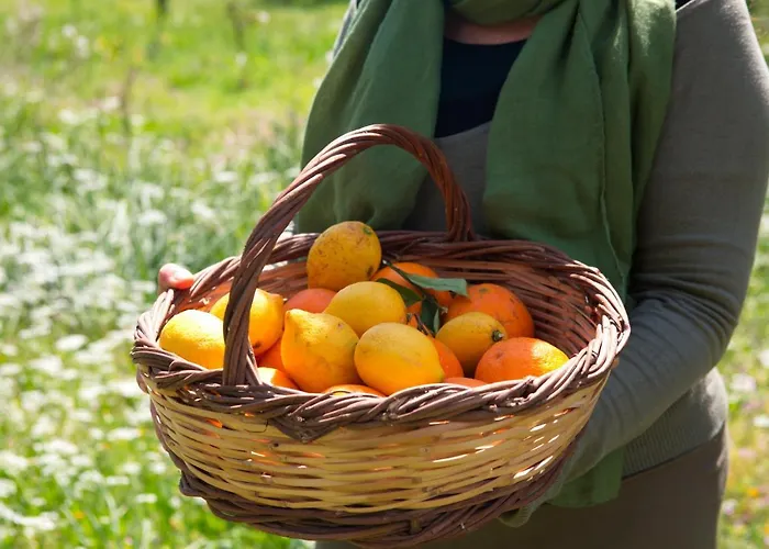 Dom wakacyjny Dafni's Stable *